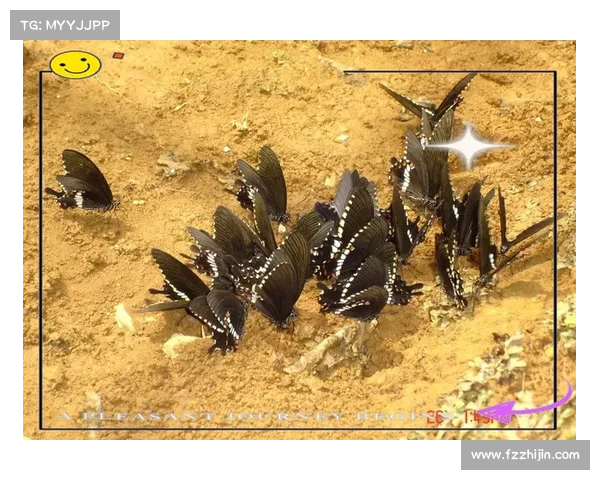 如何在蝴蝶平原上实现可持续发展与保护自然奇观的有效策略 如何在蝴蝶平原上实现可持续发展与保护自然奇观的有效策略