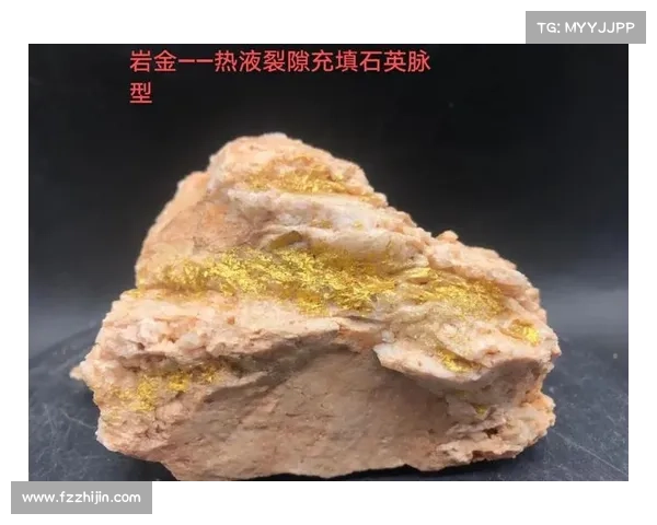 全球金矿分布与开采效率分析各地区资源优势与开发潜力 全球金矿分布与开采效率分析各地区资源优势与开发潜力