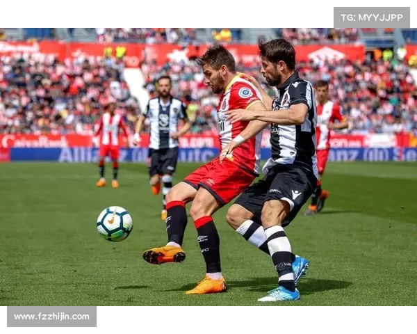 全面解析如何了解巴塞罗那所属球队及其历史与现状发展